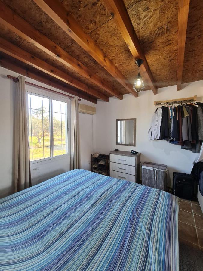 Spacious Studio In Yeroskipou Koloni Exteriér fotografie